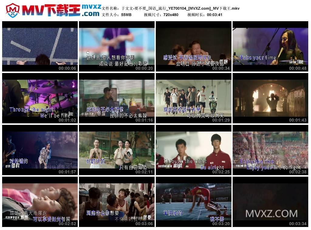于文文-要不要_国语_流行_YE700104